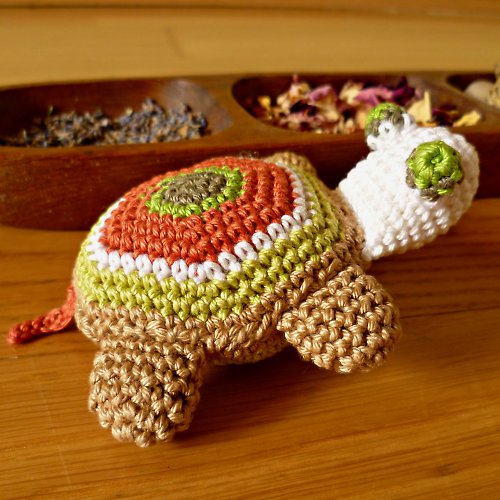 Želvička Ashaki — foto 4
