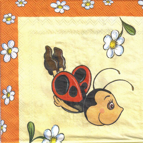 Ubrousek berušky — foto 3