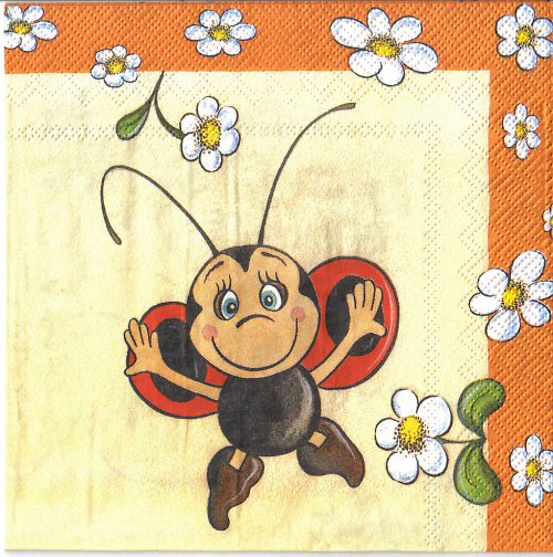 Ubrousek berušky — foto 4