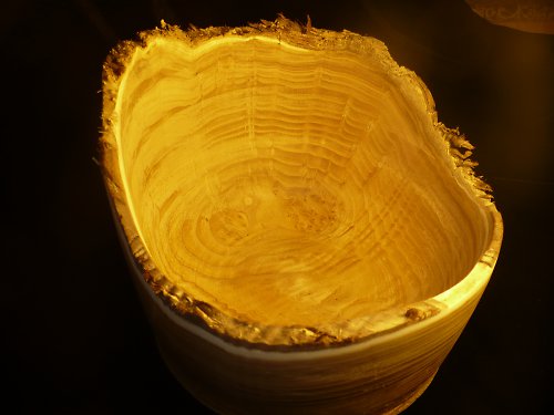 Exotická mísa — foto 2