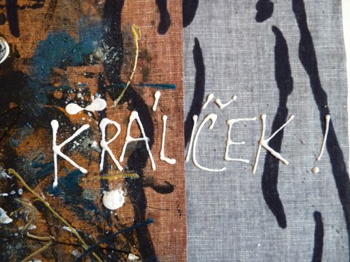 KRáLíčEK, obrázek. — foto 4