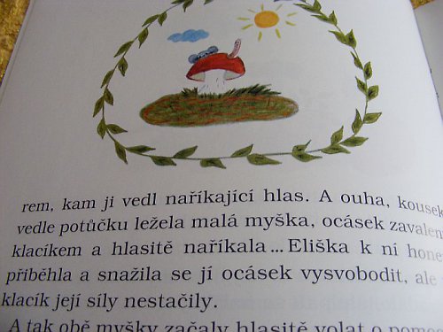 Pohádka o Elišce a Hryzalce — foto 2