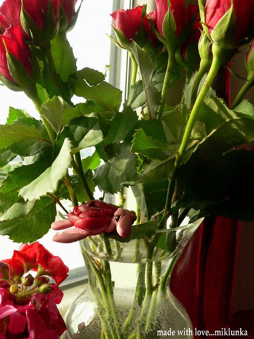 Želvička Valentinka — foto 2