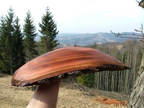 Exoticky vybarvená masivní mísa — foto 4