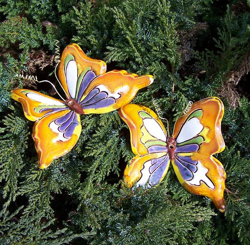 Oranžový motýlek — foto 2