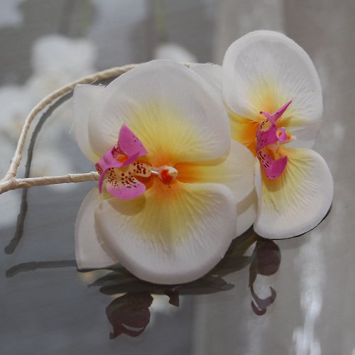 Orchidea ... čelenka — foto 3