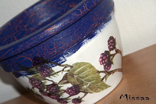 Ostružinový květináč — foto 2
