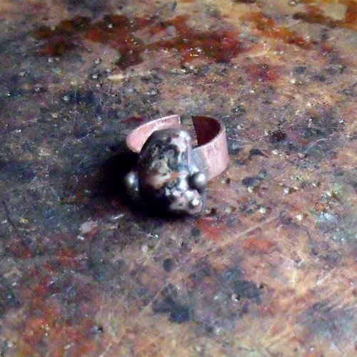 Leopardík — foto 2