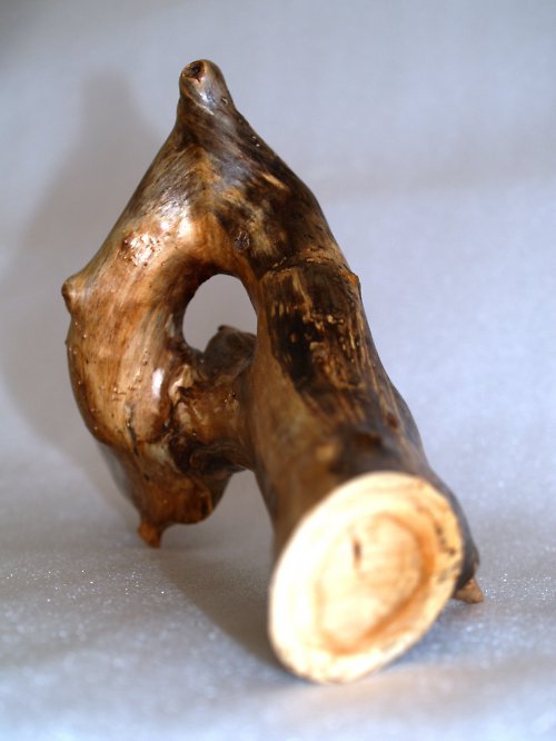 Nautilus — foto 2