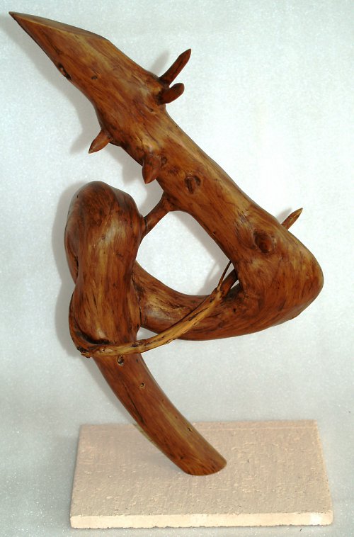 Propletenec oudů — foto 2