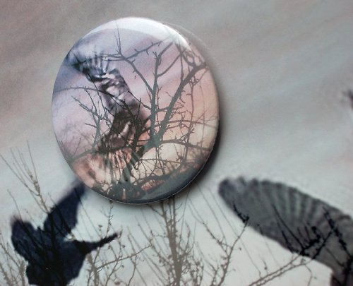 Volnost — foto 2