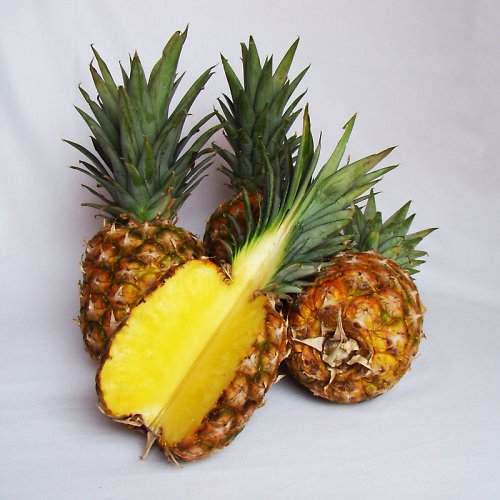 Opaky se přitahují ... ananas a mini černý bez — foto 3