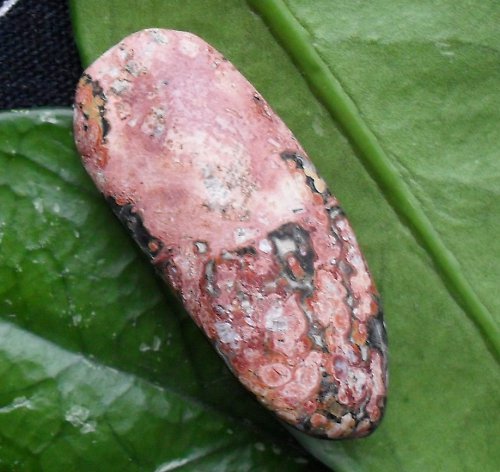 Jaspis leopard 37x18x10mm — foto 2