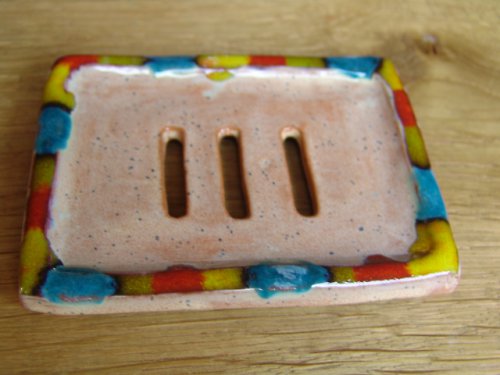 Mýdlenka barevná — foto 2
