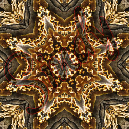 Mandala babské houby — foto 2