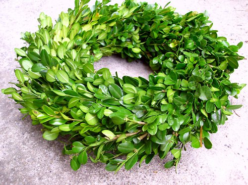 Věnec buxus — foto 2