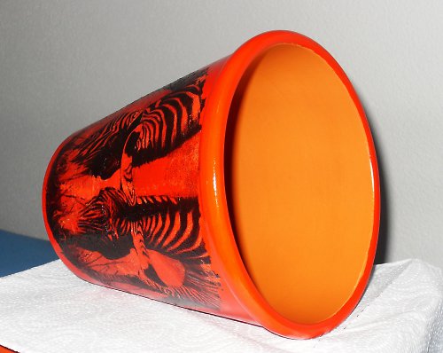 Zebry — foto 3