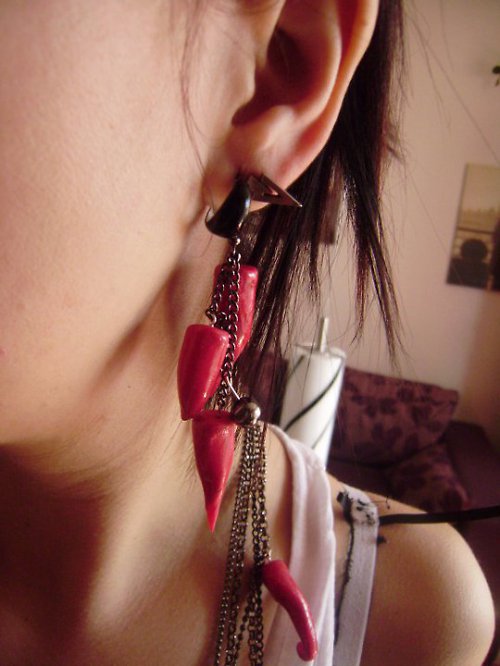 Chilli podruhé.... — foto 3