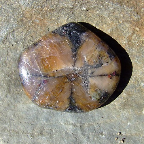 Chiastolit — foto 2