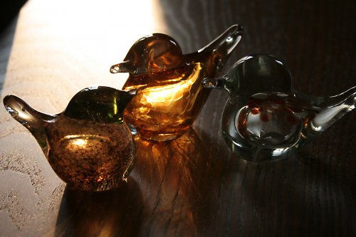 Ptáčci hnědí — foto 2