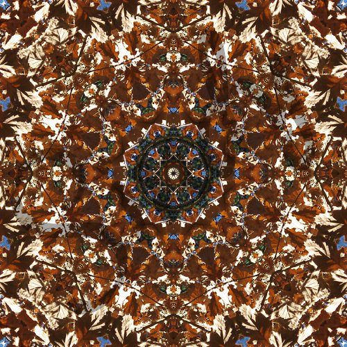 Mandala dubového listí — foto 2