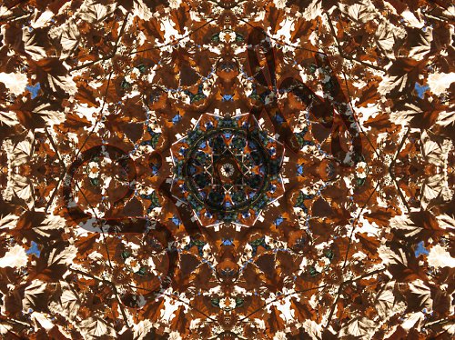 Mandala dubového listí — foto 4