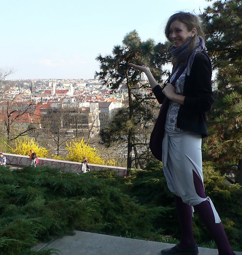 Kraťásky stříbrné — foto 3