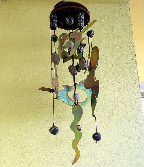 Zvonkohra plíšková — foto 3