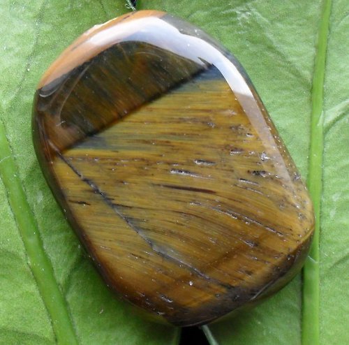 Sokolí oko MAXI 37x26x9 — foto 2