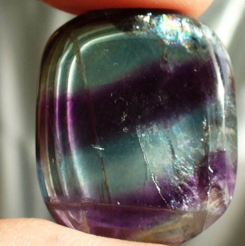 Placka FLUORIT 44 — foto 2
