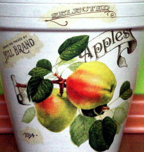 Apples - květináč průměr 17 cm — foto 2