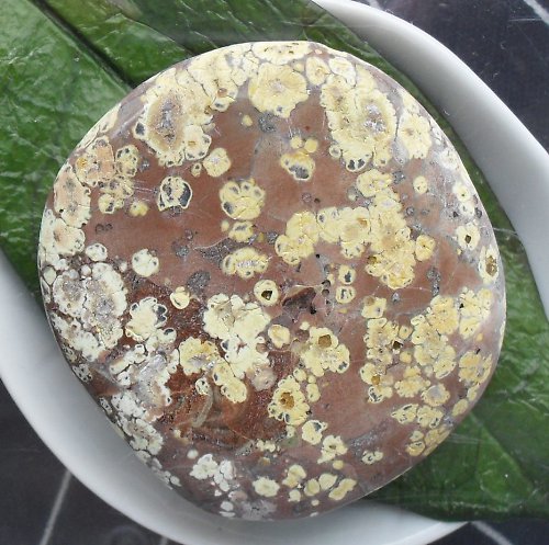 Jaspis leopard 44x41mm — foto 2