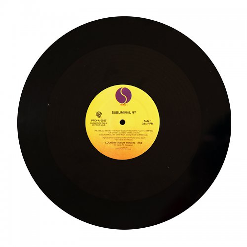 Vinylka velká — foto 4