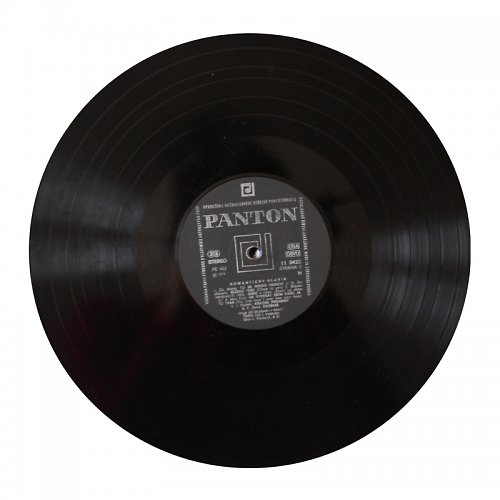 Vinylka velká — foto 5
