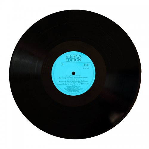 Vinylka velká — foto 3