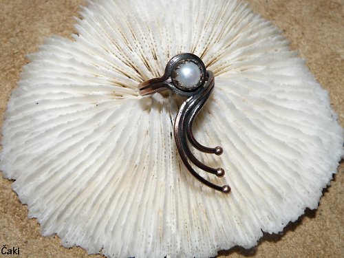 Extravagantní............. — foto 3