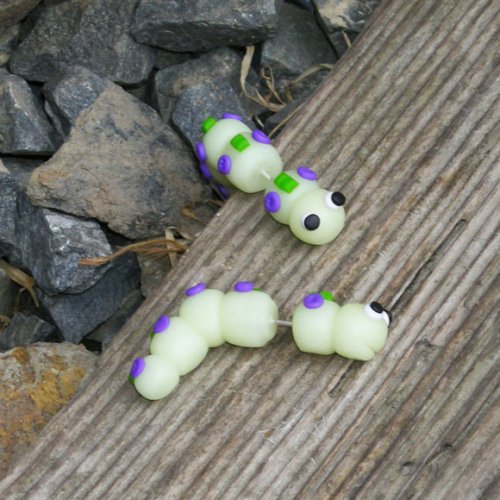 Fosforové svítící housenky — foto 4