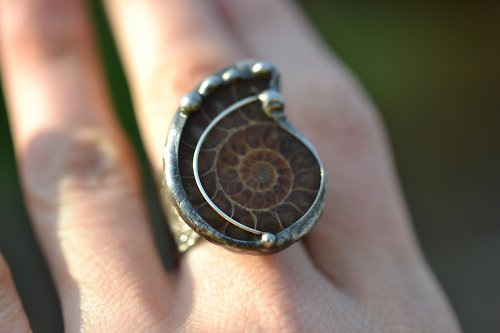 Amonit maxi — foto 3