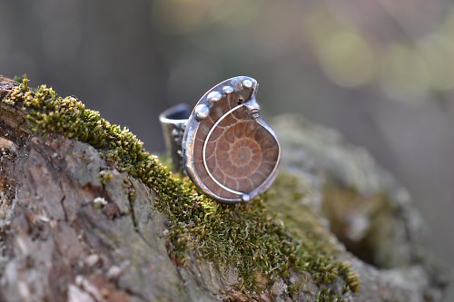 Amonit maxi — foto 4