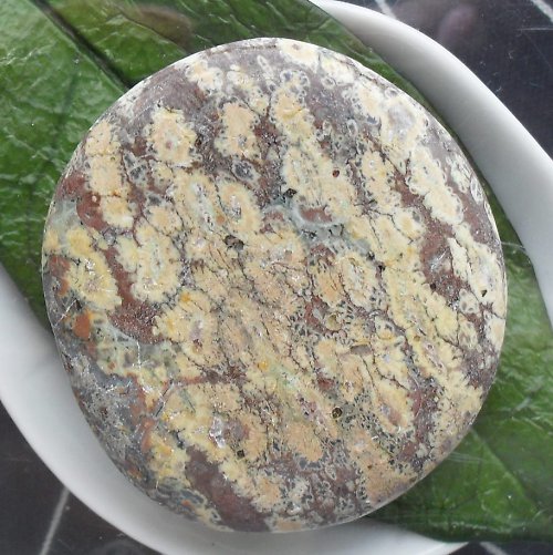 Jaspis leopard 45x41mm — foto 2