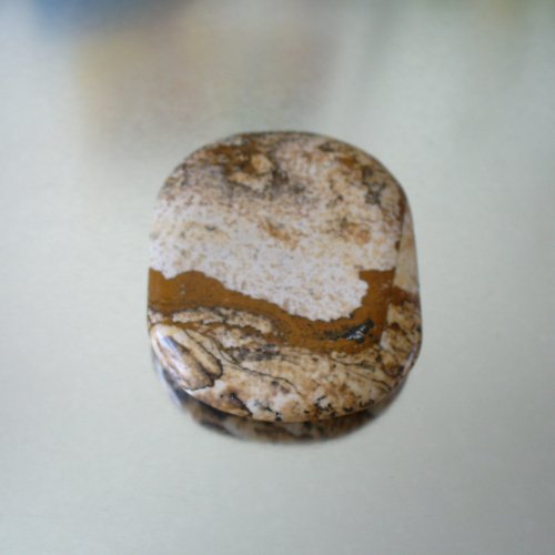 Placka jaspis obrázkový — foto 2