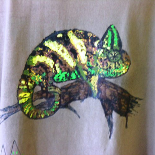 Chameleon - Xxxl!!! — foto 2