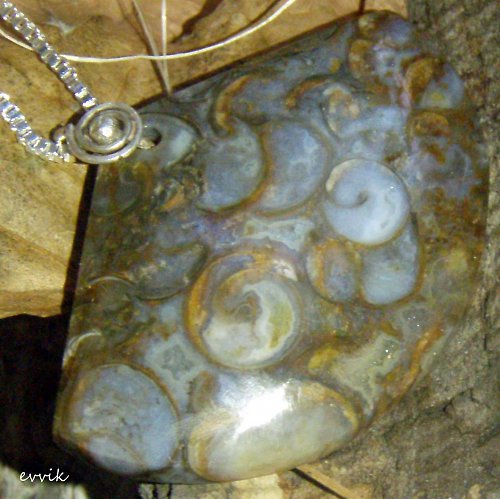 Druhohorní turitelly — foto 2