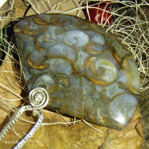 Druhohorní turitelly — foto 3