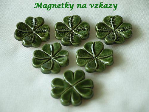 Čtyřlístek pro štěstí — foto 2