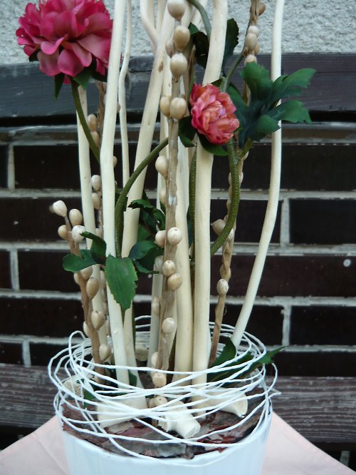 Růžový ranunculus v proutí — foto 2