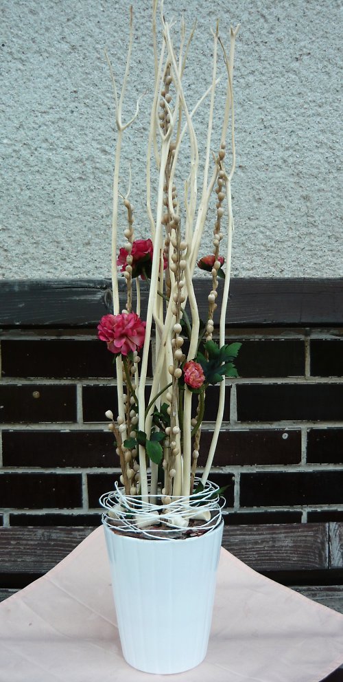 Růžový ranunculus v proutí — foto 4