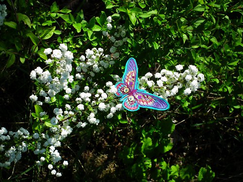 Brož BUTTERFLY n.3 — foto 4