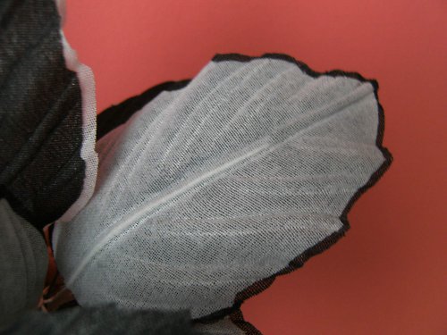Černo bíla eleganci — foto 3