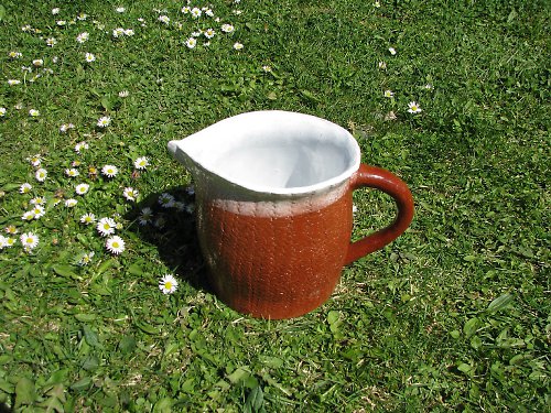 Džbánek hnědobílý — foto 2